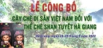 Trà Đen Shan Tuyết hữu cơ Châu Âu bà cụ Fìn Hò 100g